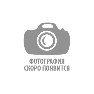 Гортензия Rodeo Purple (Родео Пёрпл)