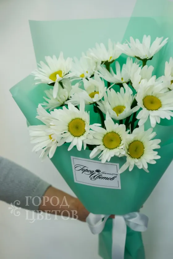 Ромашковое утро