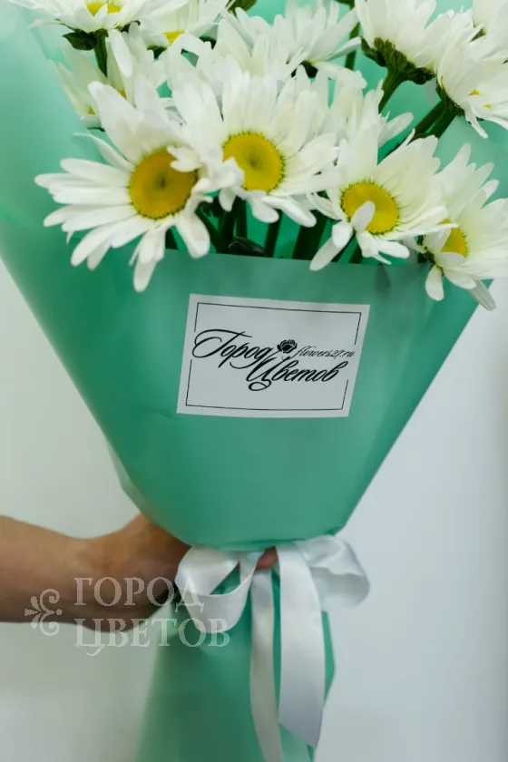 Ромашковое утро
