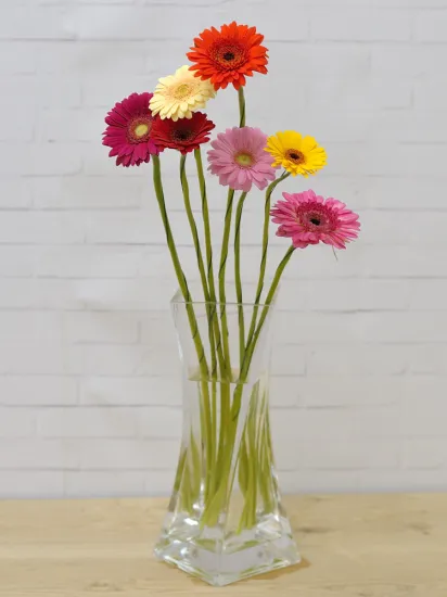 Гербера Olimpic Gold от интернет-магазина цветов в 