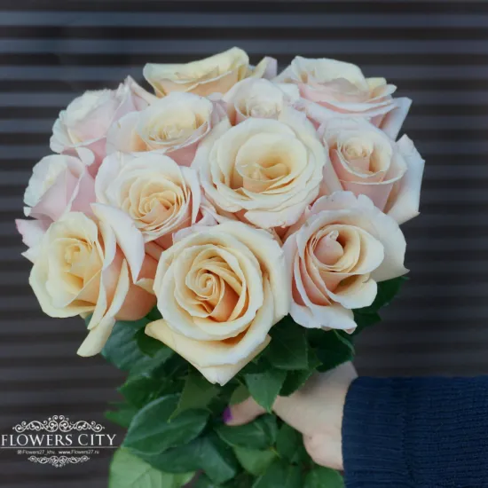 Классическая роза Mother of pearl от интернет-магазина цветов в 