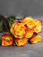 Классическая роза Tutti Frutti