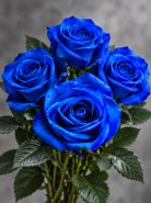 Классическая Роза Vendela Blue (Вендела Блю)