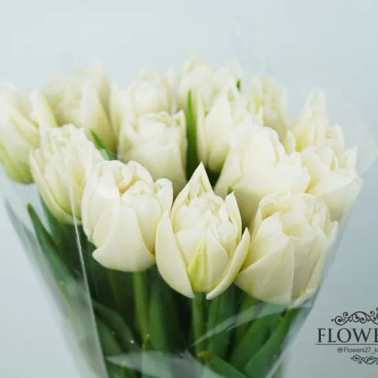 Тюльпан Маунт Такома (Пионовидный) от интернет-магазина цветов в 