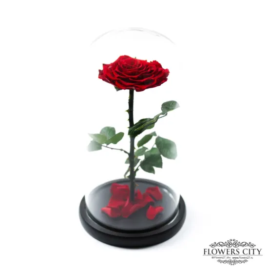 Роза в колбе (средняя) №4 от интернет-магазина цветов в 