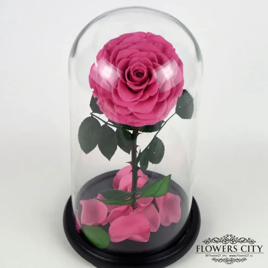Роза в колбе (средняя) №6 от интернет-магазина цветов в 