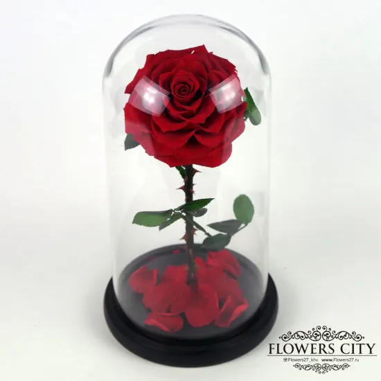 Роза в колбе (средняя) №1 от интернет-магазина цветов в 