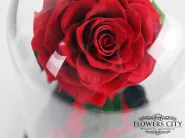 Роза в колбе (средняя) №1