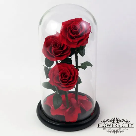 Роза в колбе (средняя) №7 от интернет-магазина цветов в 