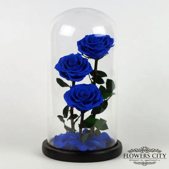 Роза в колбе (средняя) №3 от интернет-магазина цветов в 