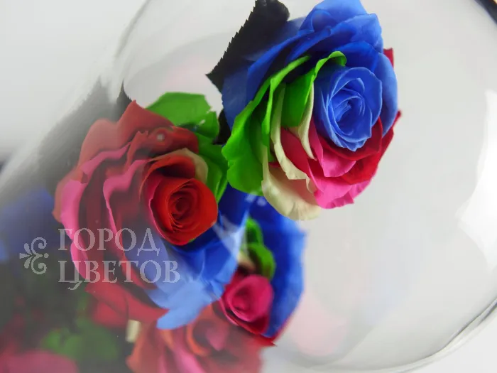 Роза в колбе (средняя) №2