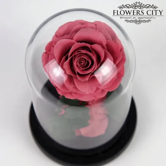 Роза в колбе (маленькая) №1 от интернет-магазина цветов в 
