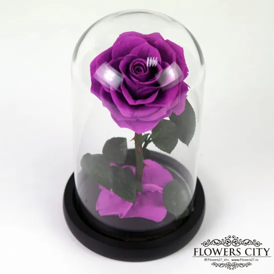 Роза в колбе (маленькая) №2 от интернет-магазина цветов в 
