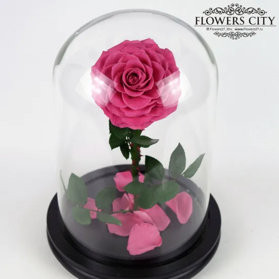 Роза в колбе (большая) №1 от интернет-магазина цветов в 