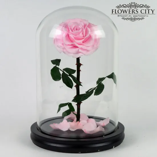 Роза в колбе (большая) №3 от интернет-магазина цветов в 