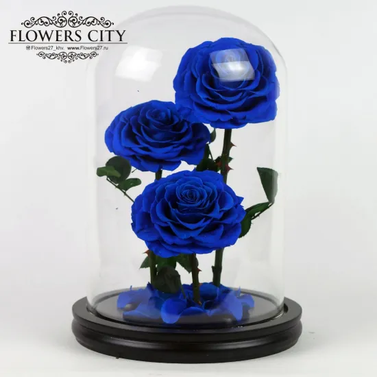 Роза в колбе (большая) №5 от интернет-магазина цветов в 