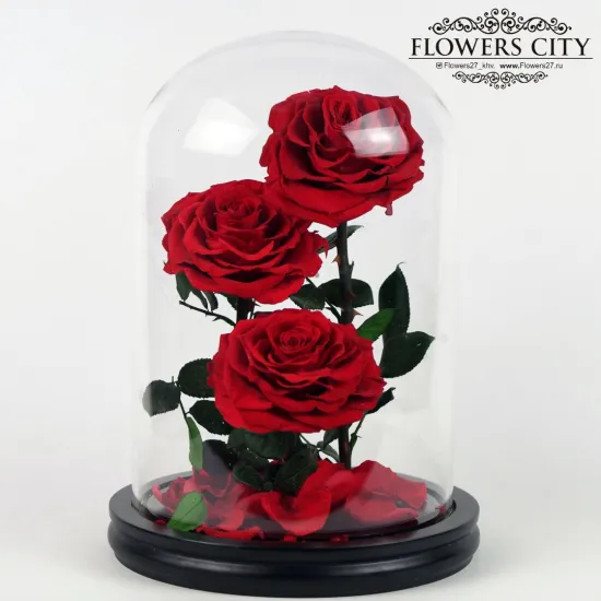 Роза в колбе (большая) №6 от интернет-магазина цветов в 