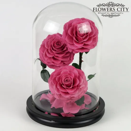 Роза в колбе (большая) №7 от интернет-магазина цветов в 