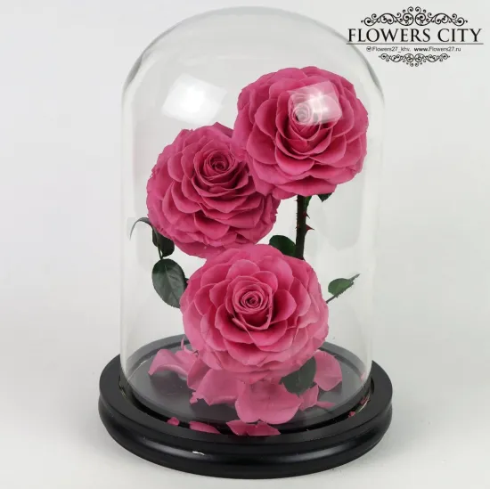 Роза в колбе (большая) №7 от интернет-магазина цветов в 