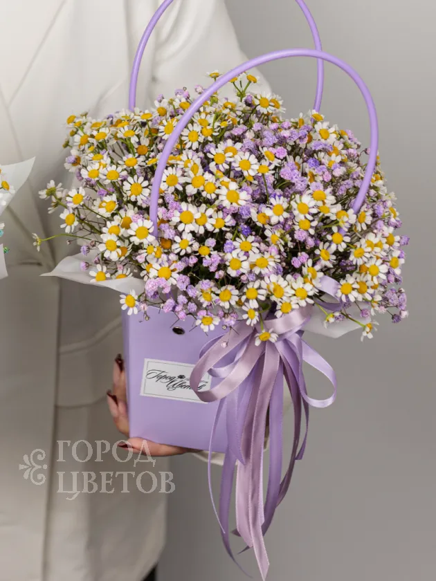Ромашковый сказ