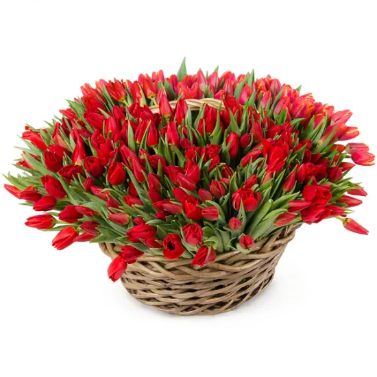 Красное море от интернет-магазина цветов в 