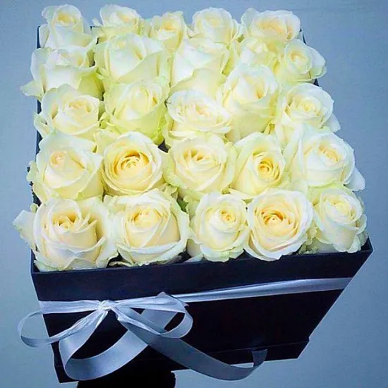 Оливия от интернет-магазина цветов в 