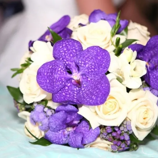 Ванда от интернет-магазина цветов в 