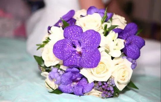 Ванда от интернет-магазина цветов в 