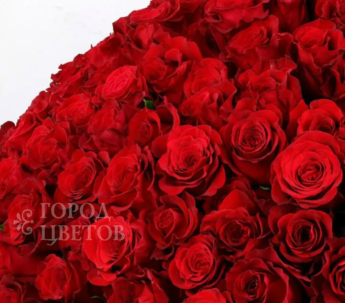 Охапка красных роз