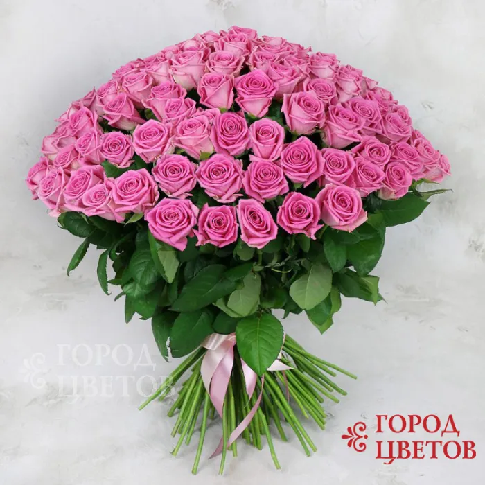 Фиолетовая роза