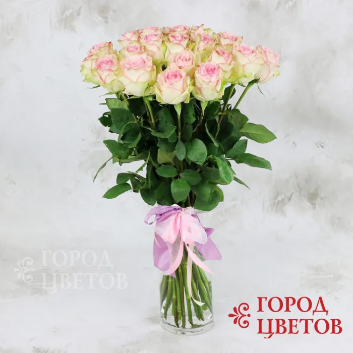 Светло-розовая роза
