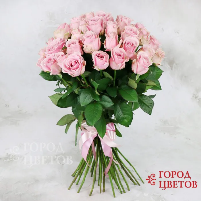 Светло-розовая роза