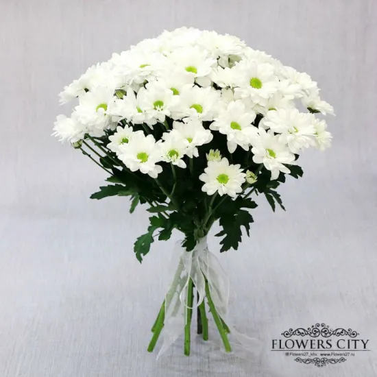 9 белых кустовых хризантем от интернет-магазина цветов в 