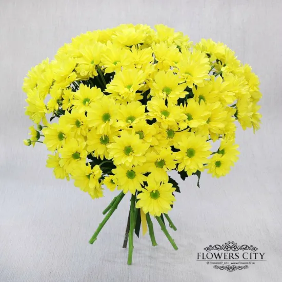 9 желтых кустовых хризантем от интернет-магазина цветов в 