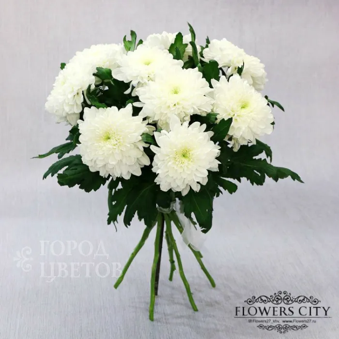 9 белых хризантем