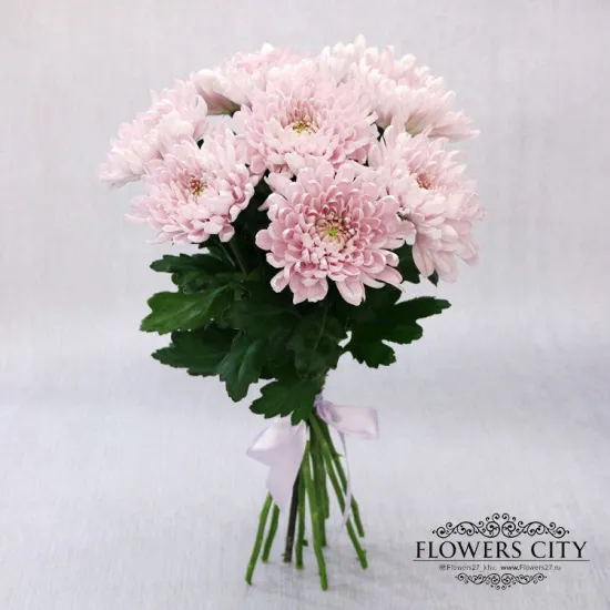 9 розовых хризантем от интернет-магазина цветов в 