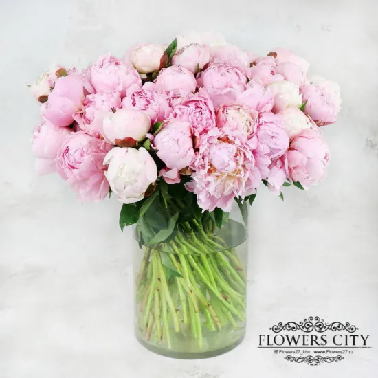 51 розовый пион от интернет-магазина цветов в 