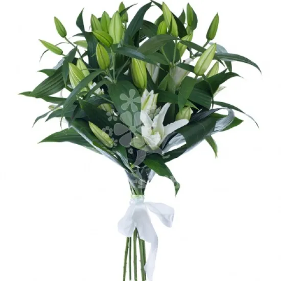 Букет из 7 лилий от интернет-магазина цветов в 