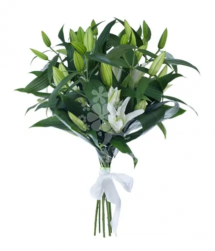 Букет из 7 лилий от интернет-магазина цветов в 