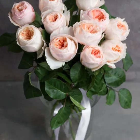 Монобукет из 11 роз David Austin Juliet от интернет-магазина цветов в 