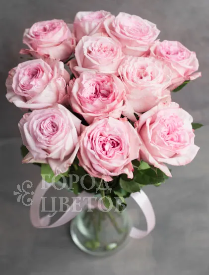 Монобукет Из 11 Роз Pink O'Hara