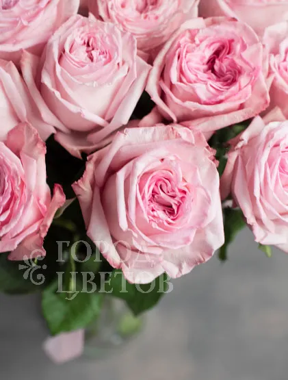Монобукет Из 11 Роз Pink O'Hara