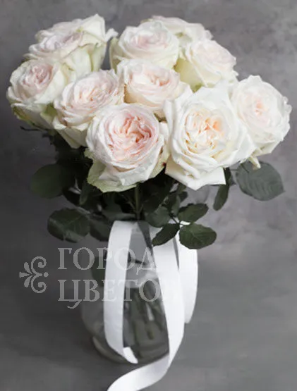Монобукет Из 11 Роз White O'Hara