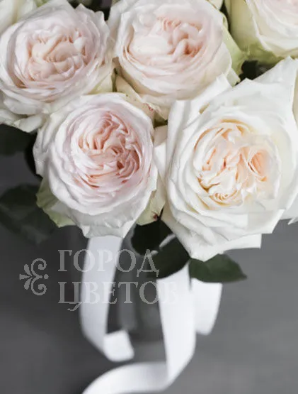 Монобукет Из 11 Роз White O'Hara