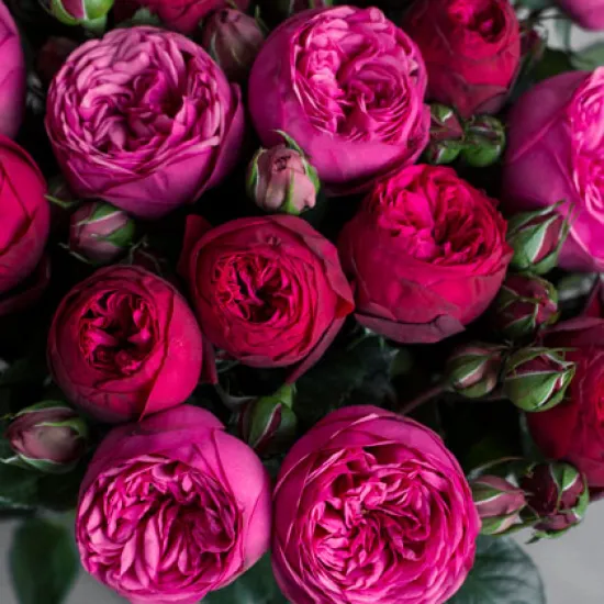 Маскарад от интернет-магазина цветов в 