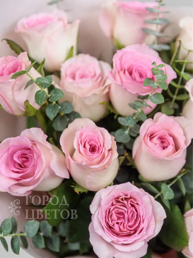 Розовая гармония