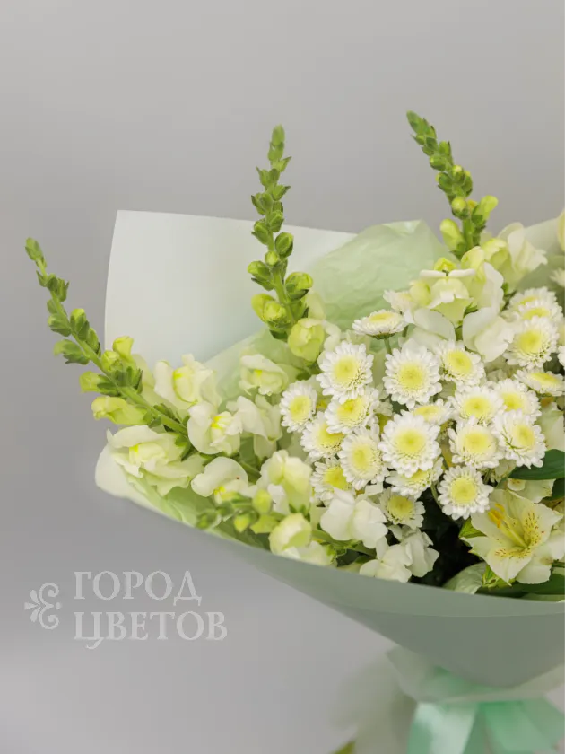 Белая мечта