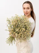 Ромашковый день