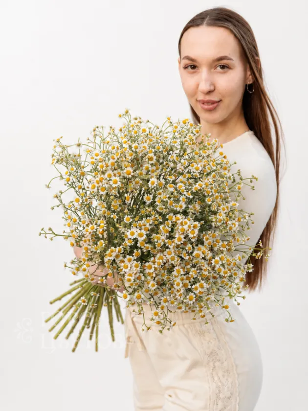 Ромашковый день