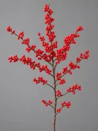Илекс Verticillata Red (Вертициллата)